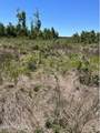 517 Mcdaniels Road - Photo 8