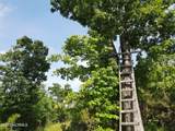 472 Eaton Ferry Road - Photo 51