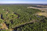 52 Corolla Loop Road - Photo 14