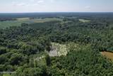 0 Wintergreen Road Road - Photo 16