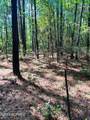 Tbd Browns Creek Church Road - Photo 19