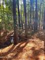Tbd Browns Creek Church Road - Photo 23