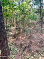 Tbd Browns Creek Church Road - Photo 26
