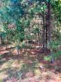 Tbd Browns Creek Church Road - Photo 44