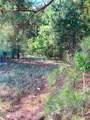 Tbd Browns Creek Church Road - Photo 46