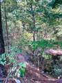Tbd Browns Creek Church Road - Photo 50