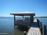225 Blue Goose Lane - Photo 51