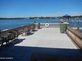 225 Blue Goose Lane - Photo 53