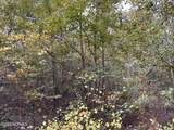 Tract 1 Matilda Drive - Photo 3