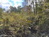 Tract 1 Matilda Drive - Photo 4
