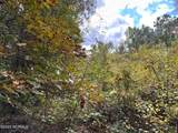 Tract 1 Matilda Drive - Photo 5