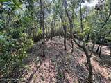 Lot 9-R West Ridge - Photo 7