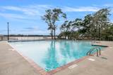 2283 Dolphin Shores Drive - Photo 43