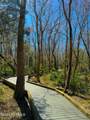 1206 Opaca Drive - Photo 41