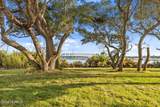217 Coastline Circle - Photo 6