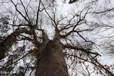 810 New Hope Rd - Photo 22