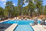 405 Pine Barrens Vista - Photo 42