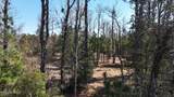 107 Pin Oak Court - Photo 7