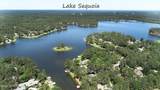 103 Sandspur Lane - Photo 51