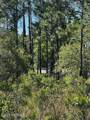 Lot 81 Trevino Road - Photo 6
