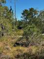 Lot 81 Trevino Road - Photo 8