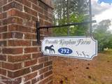 292 Old Dewberry Lane - Photo 68
