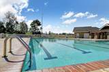 210 Royal Tern Drive - Photo 41