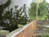 105 Mallard Court - Photo 9