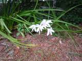 503 Pireway Road - Photo 40