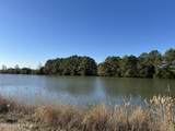 Lot 8 Blue Heron Boulevard - Photo 3