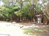 303 Chastain Drive - Photo 4
