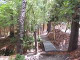 303 Chastain Drive - Photo 6