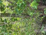1773 Beech Road - Photo 1