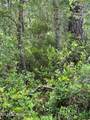 1695 Beech Road - Photo 4