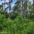 124 Cedarwood - Photo 1