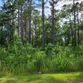 124 Cedarwood - Photo 2