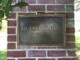 113 Mulberry Hill Lane - Photo 7