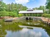 228 Sycamore Forest Drive - Photo 17