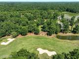 228 Sycamore Forest Drive - Photo 4