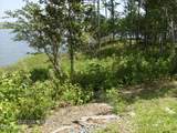 135 High Bluff Drive - Photo 2