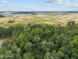 202 Palmetto Road - Photo 4