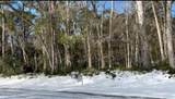 L-2 Schuyler Drive - Photo 4