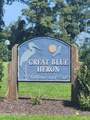 247 Blue Heron Boulevard - Photo 3