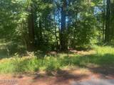 0 Pine Lane - Photo 2
