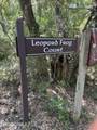 6 Leopard Frog Court - Photo 2