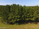 0 Joe Brown Highway - Photo 14