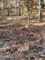 Lot 4 Hartsell Lane - Photo 6