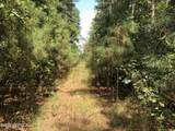 0 Plantation Road - Photo 6