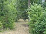 Lot 58 See View Lane - Photo 8