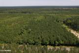 00 Old Lake Road - Photo 10